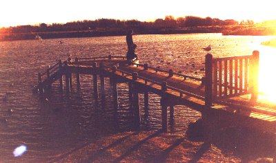 Twilight time: There are expansive views across the lake from the jetty at Westlake Park in Halswell.