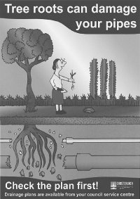 Tree roots can damage your pipes