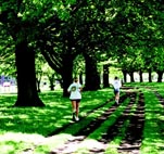 Keeping our parks in world-class condition