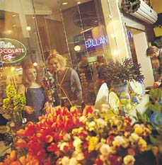 windowshopping.jpg (23334 bytes)