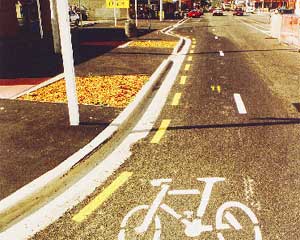 New kerb and channel on Ferry Road, including a cycleway.