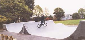 The new St Albans Park skate ramp