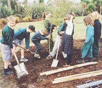 Trees for English Park