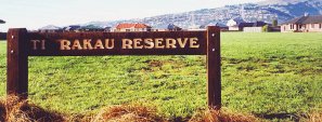The new Ti Rakau Reserve in Brookhaven is to have realigned pathways, a playground and a sports field
