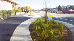 The 'braided river' footpath