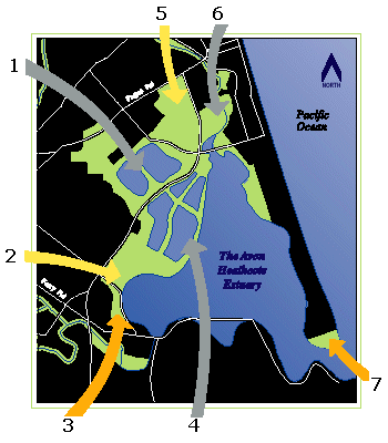 The Avon Heathcote Estuary