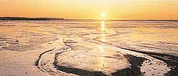 Sunrise on the Eastury