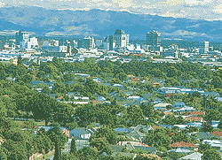 Your City