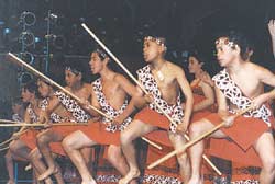 Primary Cultural Festival 