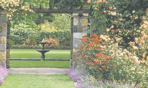 Summer display at Edmonds Factory Gardens