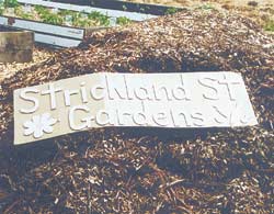 Community Gardens meet city aims 