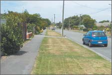 Colwyn Ave tree planting