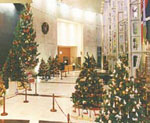 Fifty Xmas trees will light up the Convention Centre