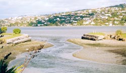 The Avon-Heathcote Estuary