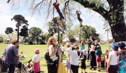 Climing ropes haning from a tree