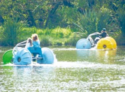 Floating tractors at the Groynes