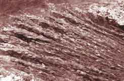 Bid To Control River Weeds